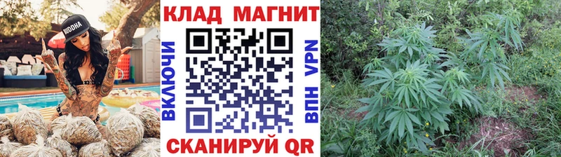 Купить наркотики сайты Будённовск Вейп ТГК  МЕФ  ГАШ 