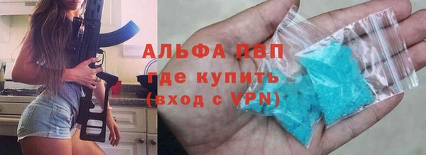 спиды Бородино