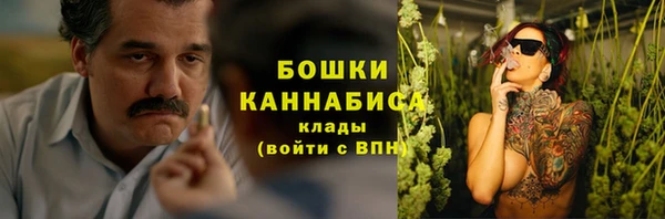 спиды Бородино
