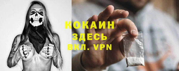 шишки Бугульма