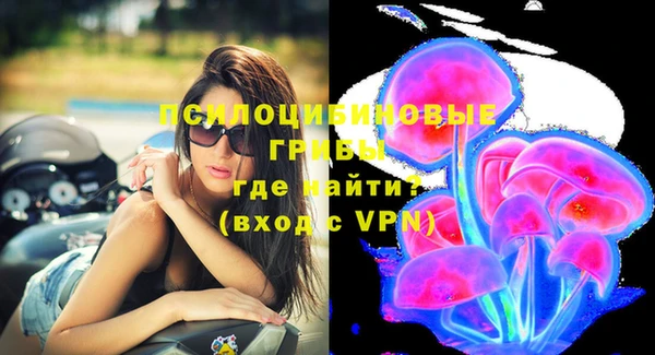 спиды Бородино