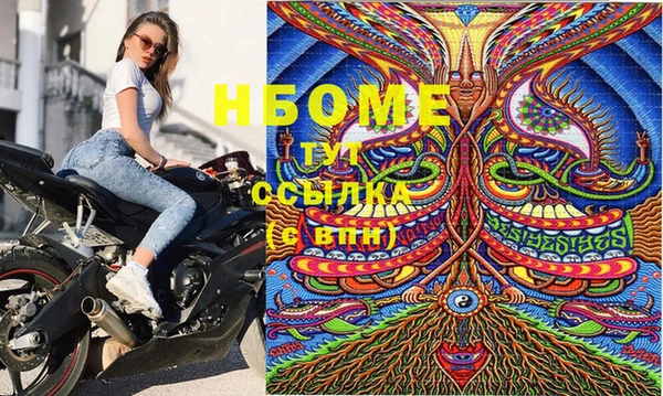 спиды Бородино